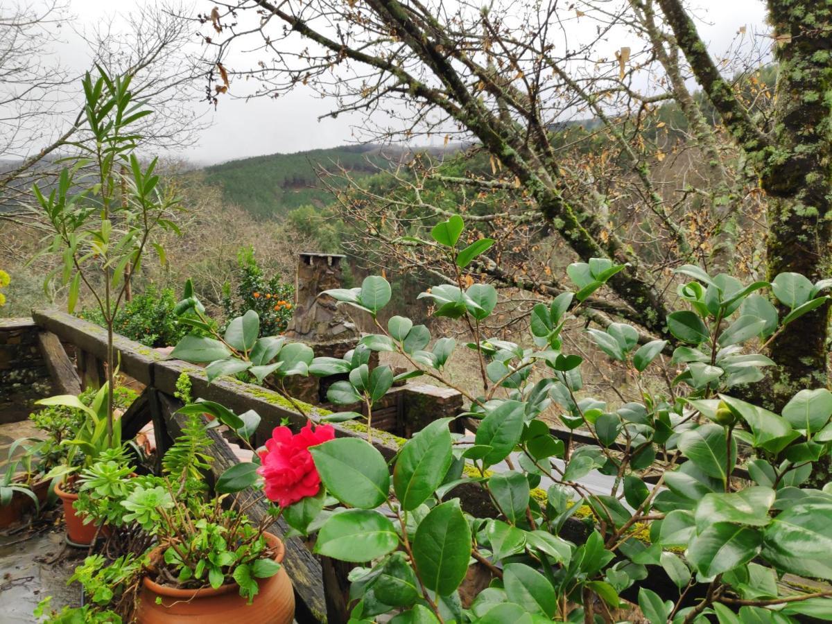 Casa Em Xisto Na Serra Da Lousa, Gondramaz 외부 사진