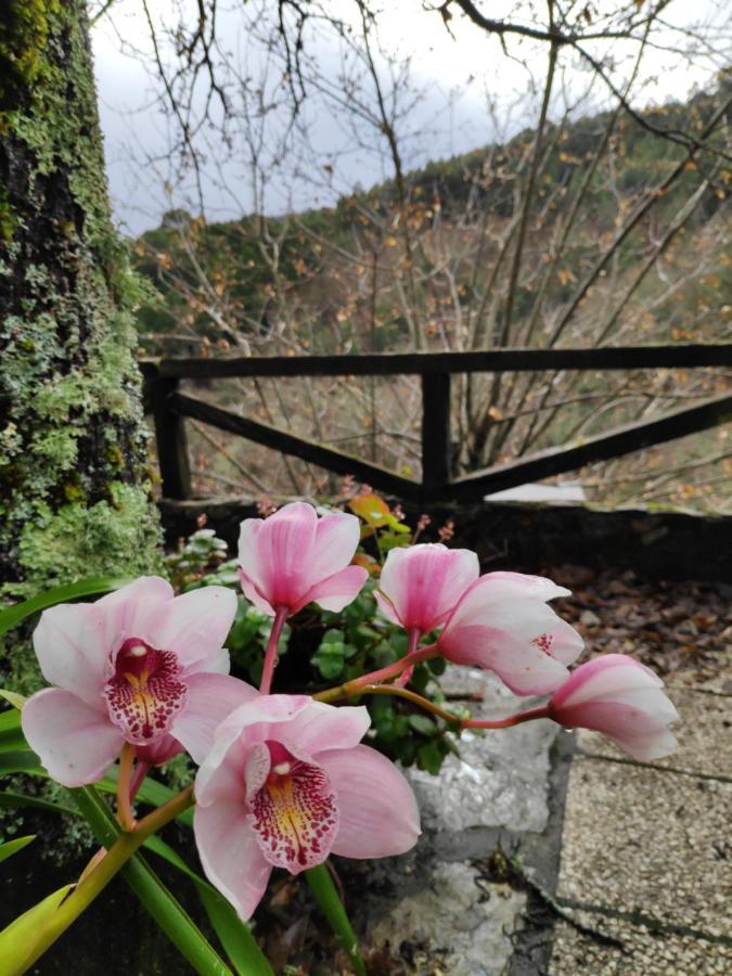 Casa Em Xisto Na Serra Da Lousa, Gondramaz 외부 사진